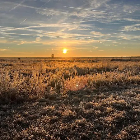 Holiday home Heidefee *