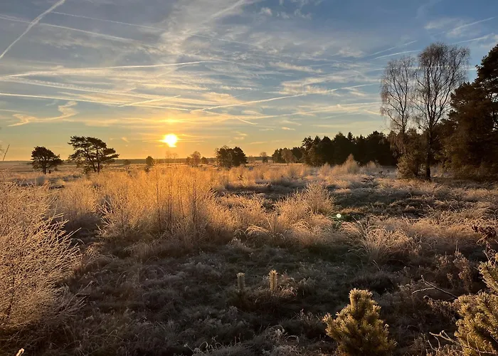 Heidefee 비첸도프